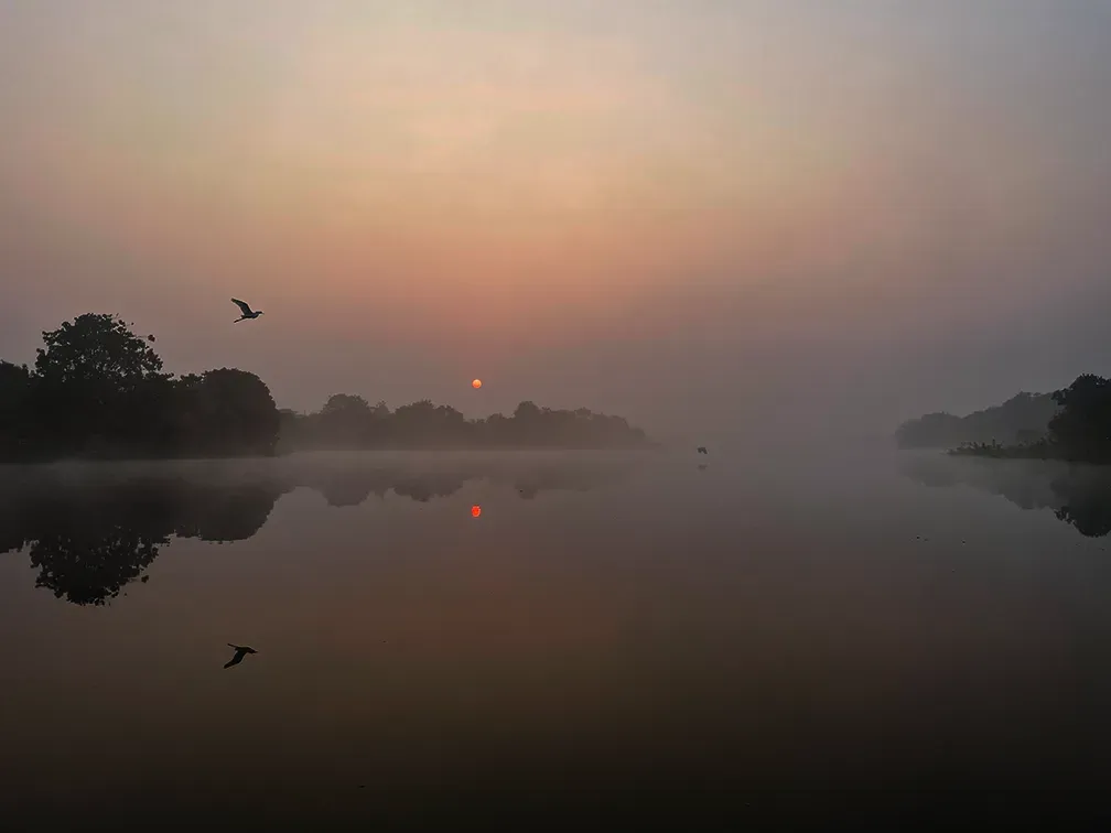 Birds over Ambazari Lake in the morning mist